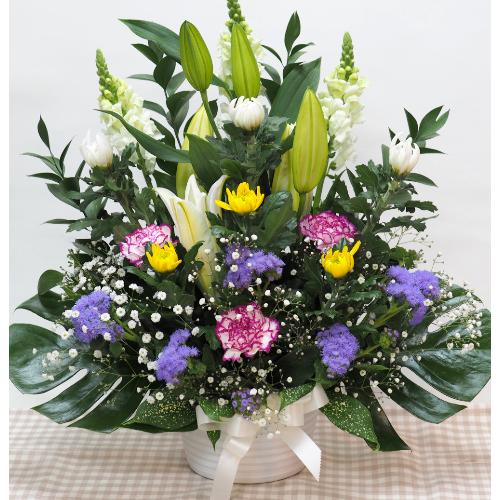 JtȂAWފ݁EEREVE@vE@ɁEEs{悩炨͂܂B