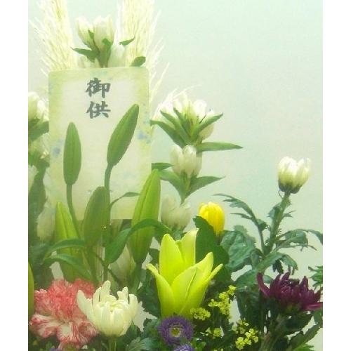 JtȂAWފ݁EEREVE@vE@ɁEEs{悩炨͂܂B3