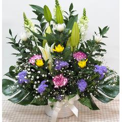 եʤ󥸡ߡߡ̿ˡסˡˡ԰褫餪Ϥޤ