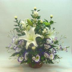 Ȼθ涡󥸡ߡߡ̿롦̼ˡסˡˡ԰褫餪Ϥޤ