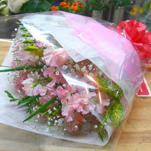 XC[gs[̂ӂu[PLOEaEl̓EȂ̓EEʁEEEs{悩炨͂܂B2