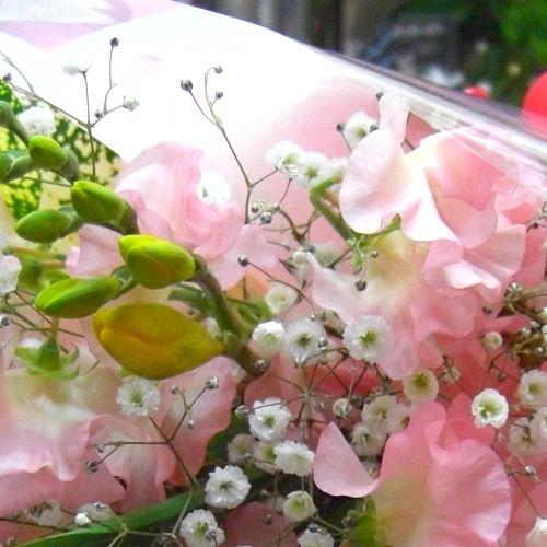 XC[gs[̂ӂu[PLOEaEl̓EȂ̓EEʁEEEs{悩炨͂܂B3