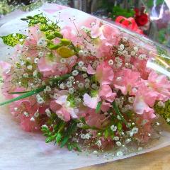 XC[gs[̂ӂu[PLOEaEl̓EȂ̓EEʁEEEs{悩炨͂܂B