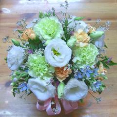 ѥƥ륫顼ʥ󥸡̿ߡˡ԰褫餪Ϥޤ