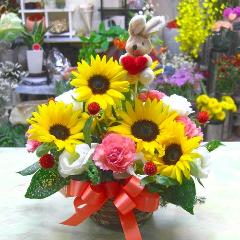 Ҥޤβİ󥸡ڥåȤΤˡ԰褫餪Ϥޤ