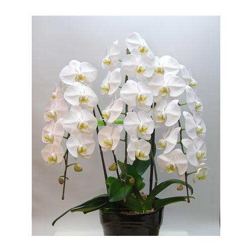 ���Ӓ����i���RF�j�����s���{��擖�X��蒚�J�ɒ��ڂ��͂����܂��B���~�E������݁E�䋟���E�@���E�l�\����E������E�@�v�E�@���E�����ɁE�E�E