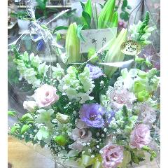 涡󥸡ѥƥϡߡ롦̼̿ߡˡʩ԰褫餪Ϥޤ