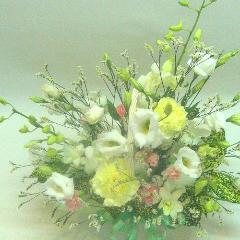 ۥ磻ȥ󥸡̿ڥåȤΤθߡƤ줬Ǥޤ褦ˡ԰褫餪Ϥޤ