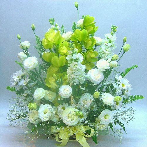 ���䋟���A�����W�i���j���@���E�����E�ʖ�E���ʎ��E�l�\����E������E�O����E������̖@�v�E����݂ɁA���s���{��悩�炨�͂����܂��B