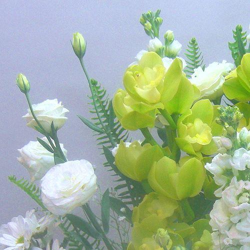 ���䋟���A�����W�i���j���@���E�����E�ʖ�E���ʎ��E�l�\����E������E�O����E������̖@�v�E����݂ɁA���s���{��悩�炨�͂����܂��B2