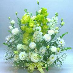 ���䋟���A�����W�i���j���@���E�����E�ʖ�E���ʎ��E�l�\����E������E�O����E������̖@�v�E����݂ɁA���s���{��悩�炨�͂����܂��B