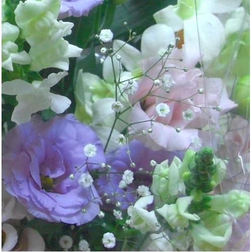 䋟AWEpXenEmԁ@E݁Eފ݁EEʖEʎEl\EE~̖@vEOɁAs{悩炨͂܂B2
