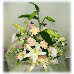 øθ涡󥸡ߡߡ̿ˡʩˡ԰褫餪Ϥޤ