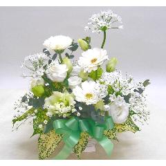 򥢥󥸡İڥåȤΤˡ̿ʩߤˤ⡦԰褫餪Ϥޤ