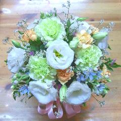 ѥƥ륫顼ʥ󥸡ڥåȤΤ̿ߡˡ԰褫餪Ϥޤ