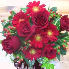 ֤ʥ󥸡ͤ뺧ǰ񡦤ʤɤˡ԰褫餪Ϥޤ