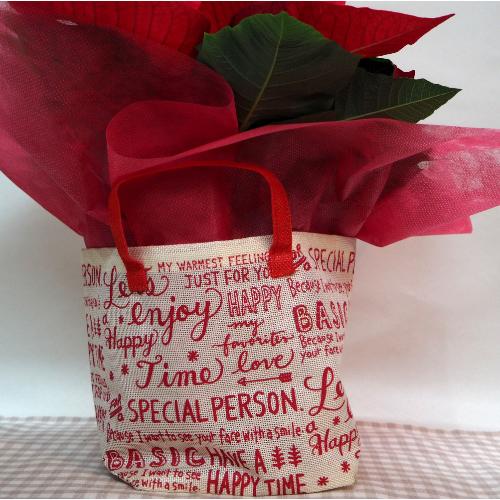 |CZ`AEԂTNX}XEJXjEaEΕEɁEEEs{悩炨͂܂B3