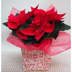 |CZ`AEԂTNX}XEJXjEaEΕEɁEEEs{悩炨͂܂B