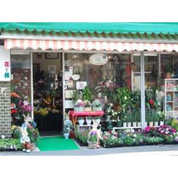 静岡県静岡市 清水区の花屋 神谷生花店 をご紹介 フラワーギフトはプロのお花屋さんにおまかせ フジテレビフラワーネット