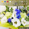 i摜