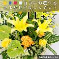 i摜
