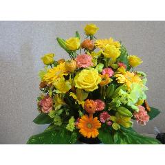 千葉県松戸市の花屋 フローリスト花専華 をご紹介 フラワーギフトはプロのお花屋さんにおまかせ フジテレビフラワーネット