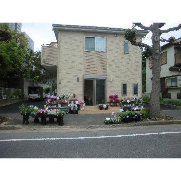 千葉県松戸市の花屋 フローリスト花専華 をご紹介 フラワーギフトはプロのお花屋さんにおまかせ フジテレビフラワーネット