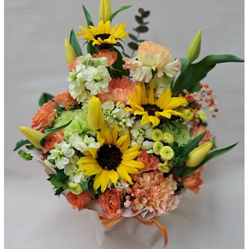 �C�G���[�I�����W�n�A�����W�����g