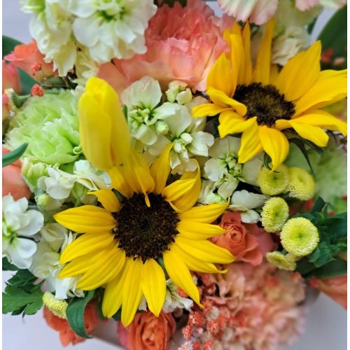 �C�G���[�I�����W�n�A�����W�����g2