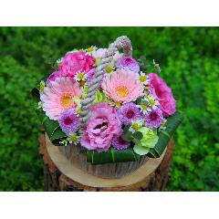 ȯɽ�񡦳ڲ��֡�Ÿ����ˡ֥ԥ󥯥Х����åȡ�