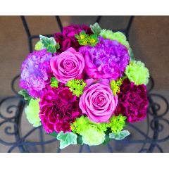 ̓yLe Rose( [[jM VbNp[vz