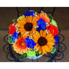 �u��������A�������肪�Ƃ��v�Ђ܂��A�����W