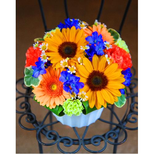 �u��������A�������肪�Ƃ��v�Ђ܂��A�����W3