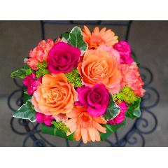 ςKNIyLe Rose( [[jM rrbhz