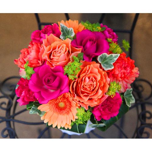 ���̓��yLe Rose(�� ���[�[�jM �r�r�b�h�z2
