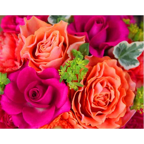���̓��yLe Rose(�� ���[�[�jM �r�r�b�h�z4