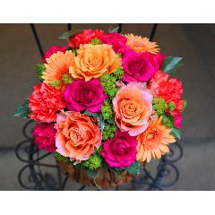 ���̓��yLe Rose(�� ���[�[�jL �r�r�b�h�z