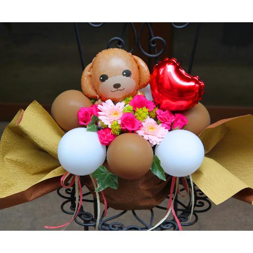 フラワー バルーン プードル アプリコット 花屋 ｈａｎａｔｏｓｈｉ のオリジナル商品 フラワーギフトはプロのお花屋さんにおまかせ フジテレビフラワーネット