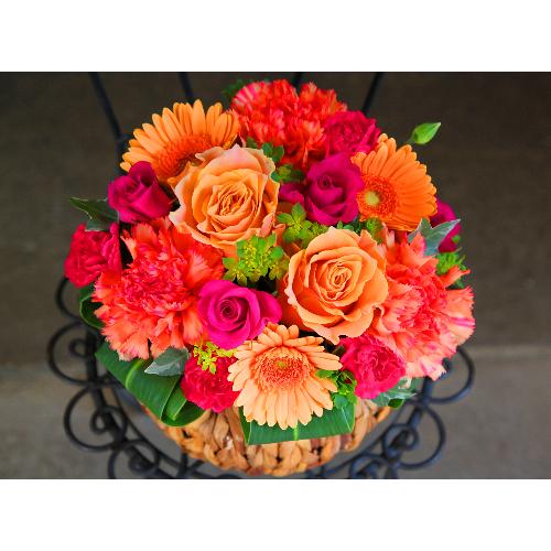 ��̓����Y����K�N���u���[�Y�A�����W�k�v�r�r�b�h