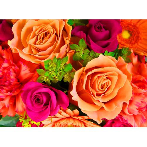 ��̓����Y����K�N���u���[�Y�A�����W�k�v�r�r�b�h2