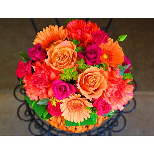 ��̓����Y����K�N���u���[�Y�A�����W�k�v�r�r�b�h4