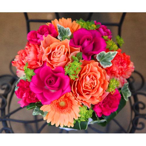 ��̓�Le Rose(�� ���[�[�jM �r�r�b�h