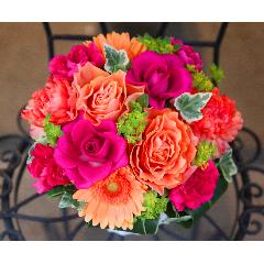 ��̓�Le Rose(�� ���[�[�jM �r�r�b�h