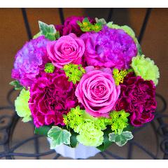 ̓@ςouLe Rose( [[jM GKgp[vv