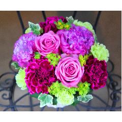 ̓@ςouLe Rose( [[jM GKgp[vv