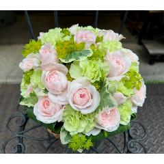 やっぱり薔薇！【ローズボール M パステル】
