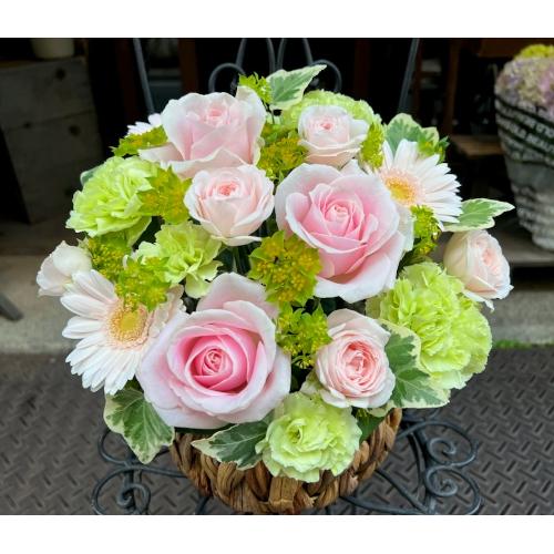 ςKNIyLe Rose( [[jk pXez3