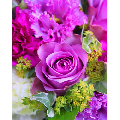 ̓yLe Rose( [[jL VbNp[vz2