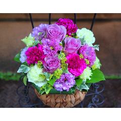 ̓yLe Rose( [[jL VbNp[vz
