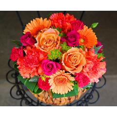 �o�����^�C������u���[�Y�A�����W�����g�k�v�r�r�b�h